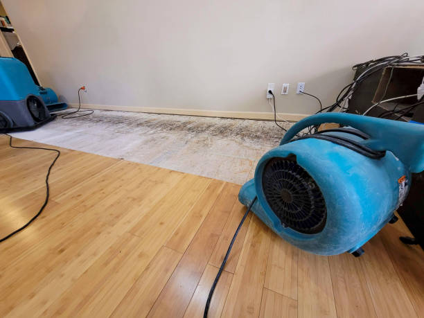 Professional Water Removal technician working in Gresham, WI